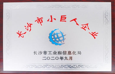 銀河電氣喜獲長沙市“小巨人企業(yè)”授牌